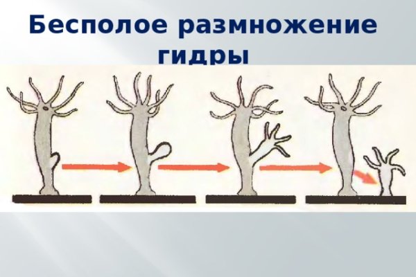 Кракен даркнет скачать