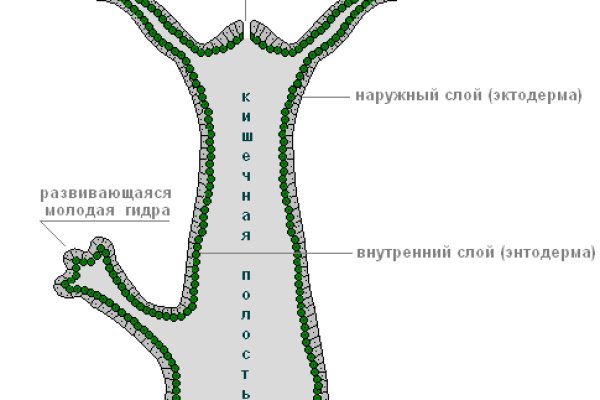 Ссылка на магазин кракен