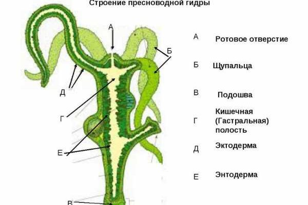 Кракен сайт kraken2