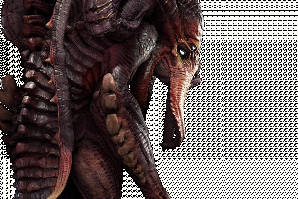 Кракен актуальная ссылка kraken torion net