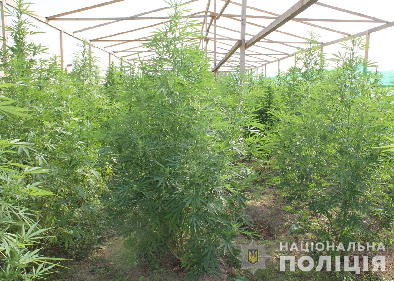 Ссылка на кракен тор kr2web in